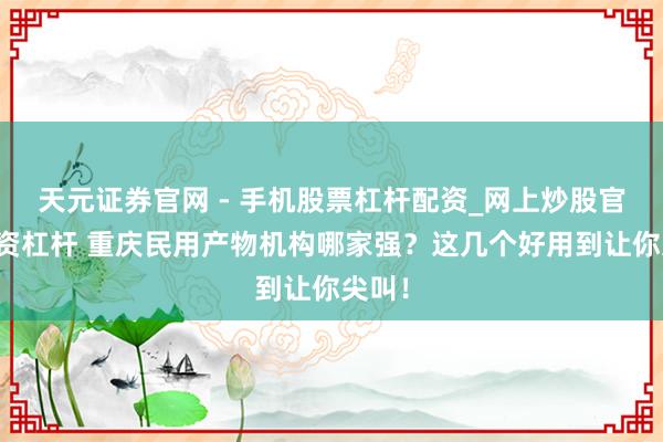 天元证券官网 - 手机股票杠杆配资_网上炒股官网配资杠杆 重庆民用产物机构哪家强？这几个好用到让你尖叫！